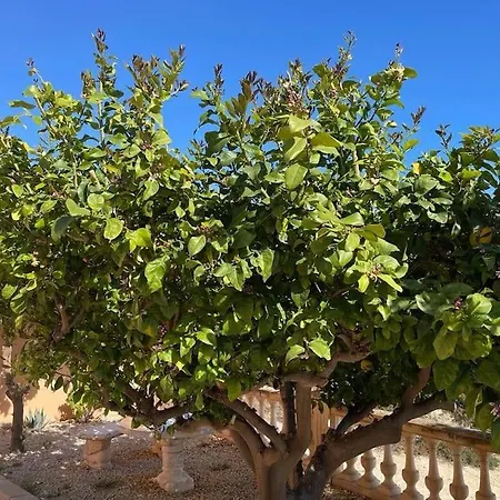 Dos Perlas Villa Alicante